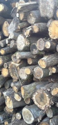 ETS GITEAU  Vente bois de chauffage à Angers, Cholet, Saumur, Douéla